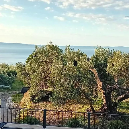 Villa Ribica *